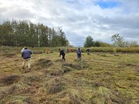 Abräumen der Ollen Wiese (Marc Sommereisen)