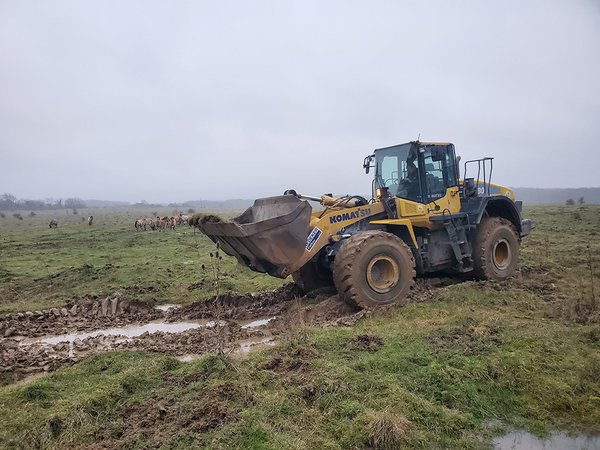 Mit Radlader und schwerem Gerät werden Fahrspuren gefahren um Kleinstgewässer zu schaffen (C. Härting)