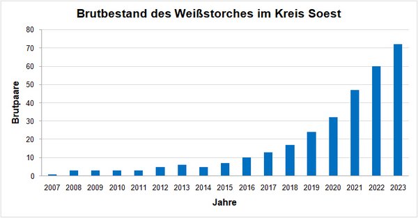 Bestandsentwicklung des Weißstorches im Kreis Soest