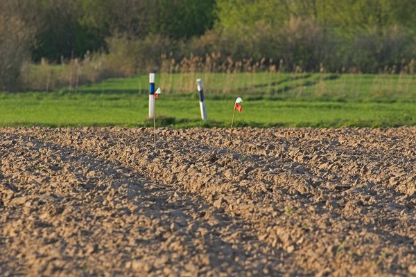 Das markierte Nest wird bei der Bodenbearbeitung ausgespart (B. Beckers)