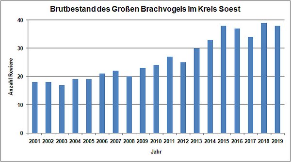 Bestandsentwicklung des Großen Brachvogel im Kreis Soest von 2001 bis 2019