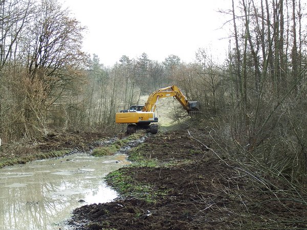 Entbuschung und Schaffung von Rohboden (C. Härting)